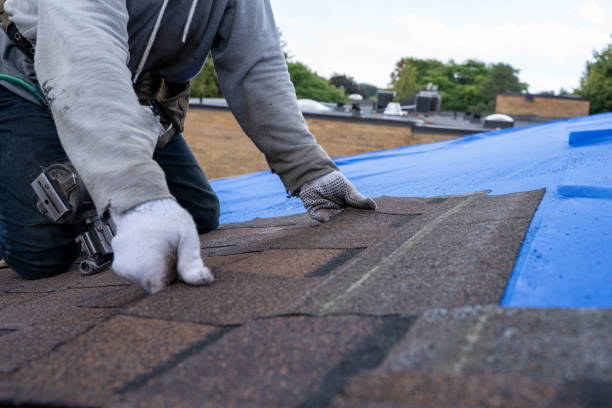 Best Commercial Roofing Services  in Blackhawk, CA
